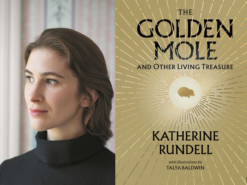 Katherine Rundell on ‘The Golden Mole’