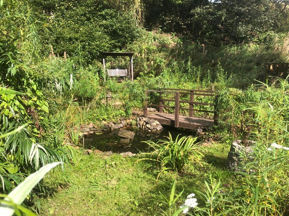 Scotland’s Gardens Scheme Open Garden: The Milton of Campsie Community Garden