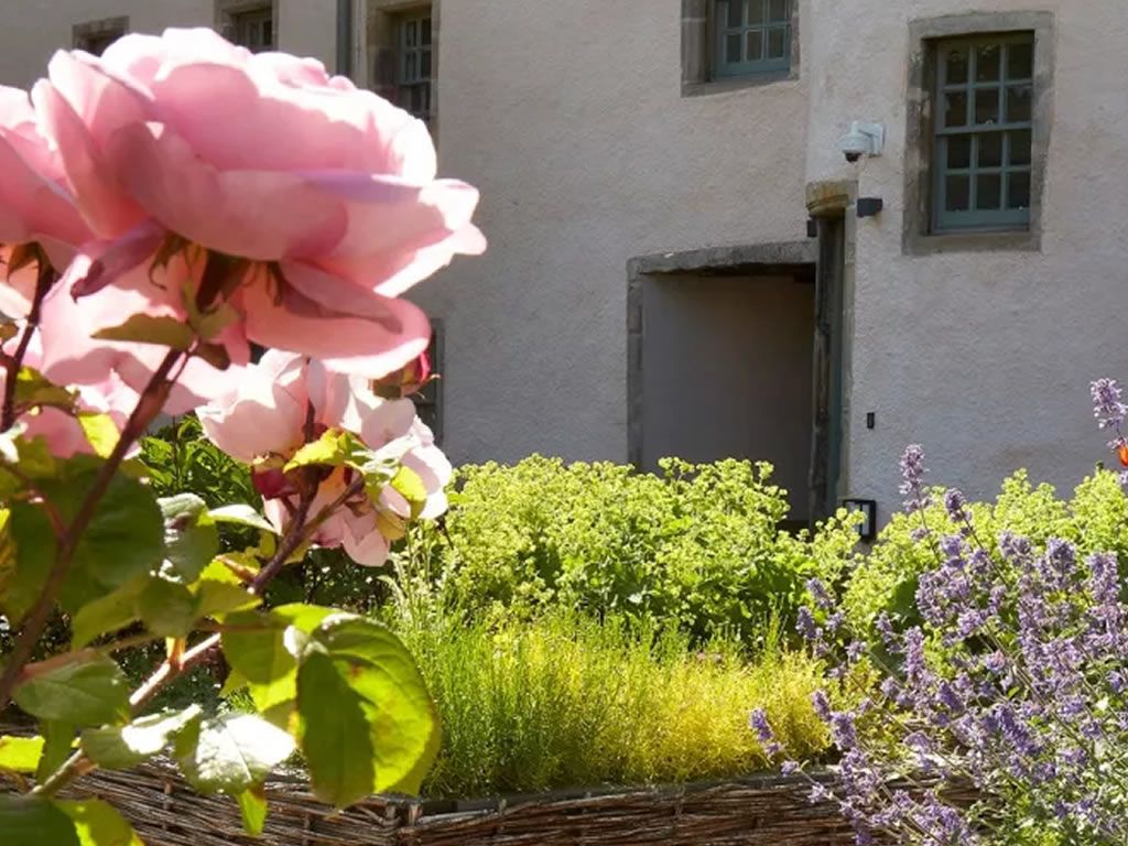 Physic Garden Family Tours