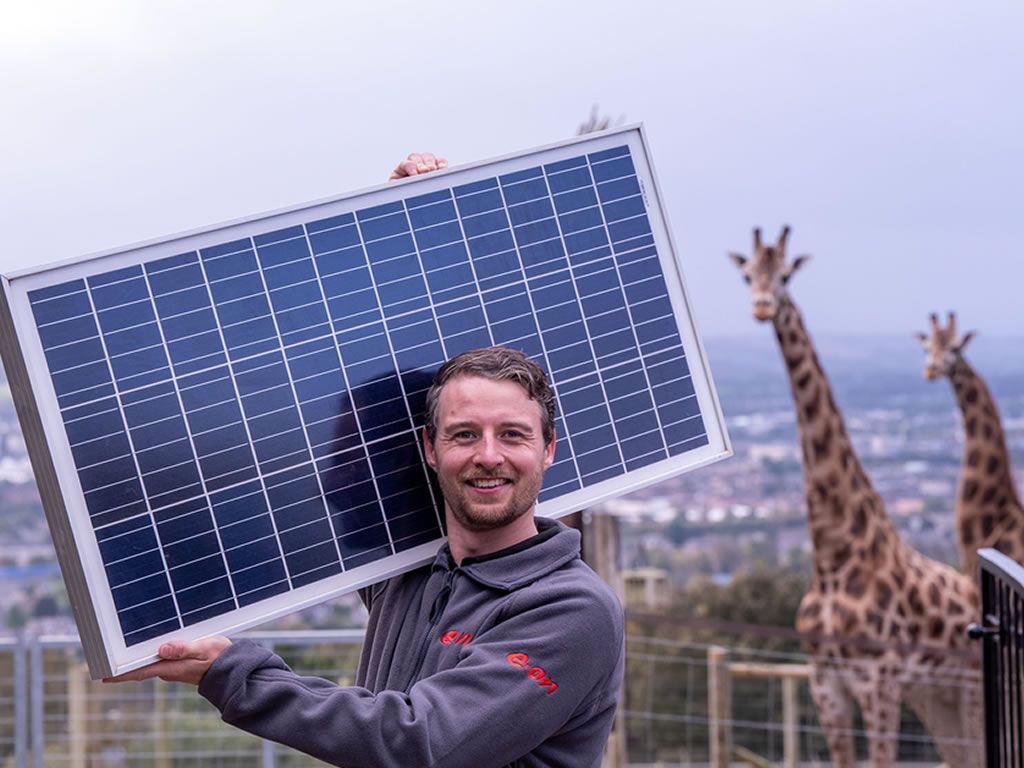 E.ON begins installation of biggest zoo based solar meadow in the UK at Edinburgh Zoo