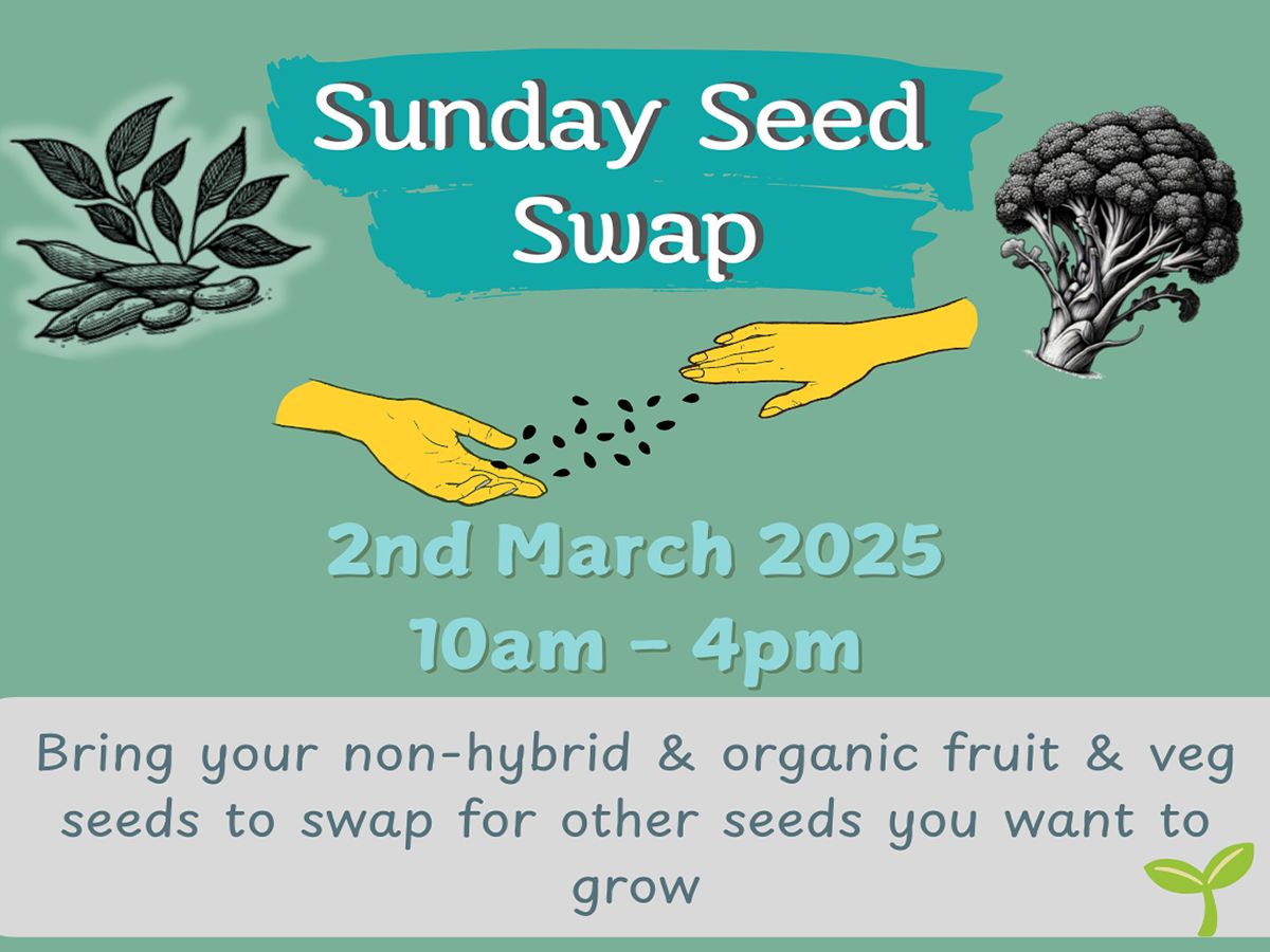 Sunday Seed Swap