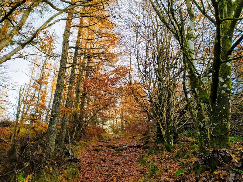 Guided Walk: Long Distance Classic- John Muir Way