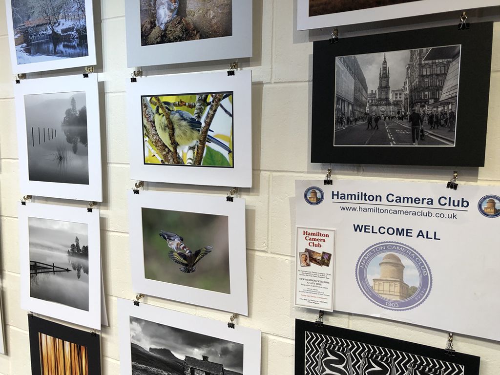 Hamilton Camera Club Photography Display