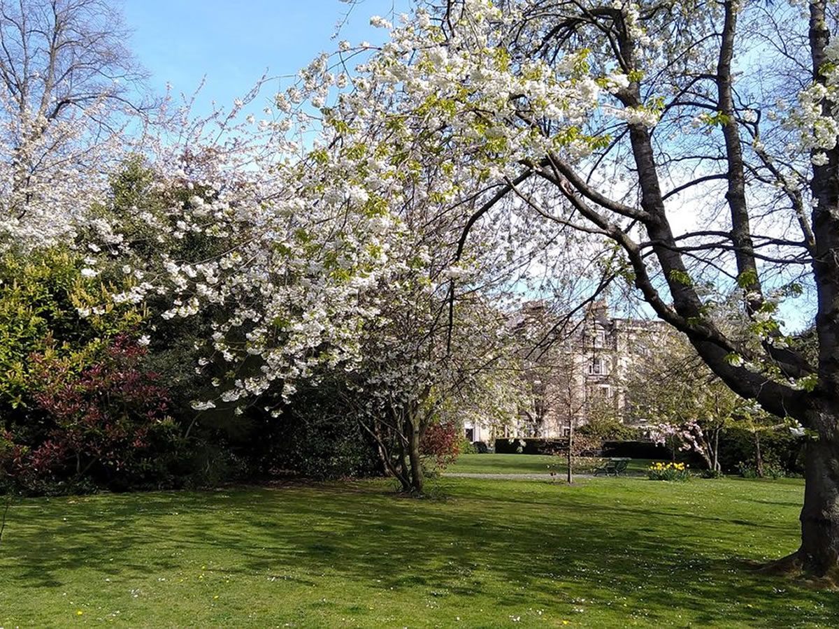 Scotland’s Gardens Scheme Open Garden: Eglinton and Glencairn Gardens