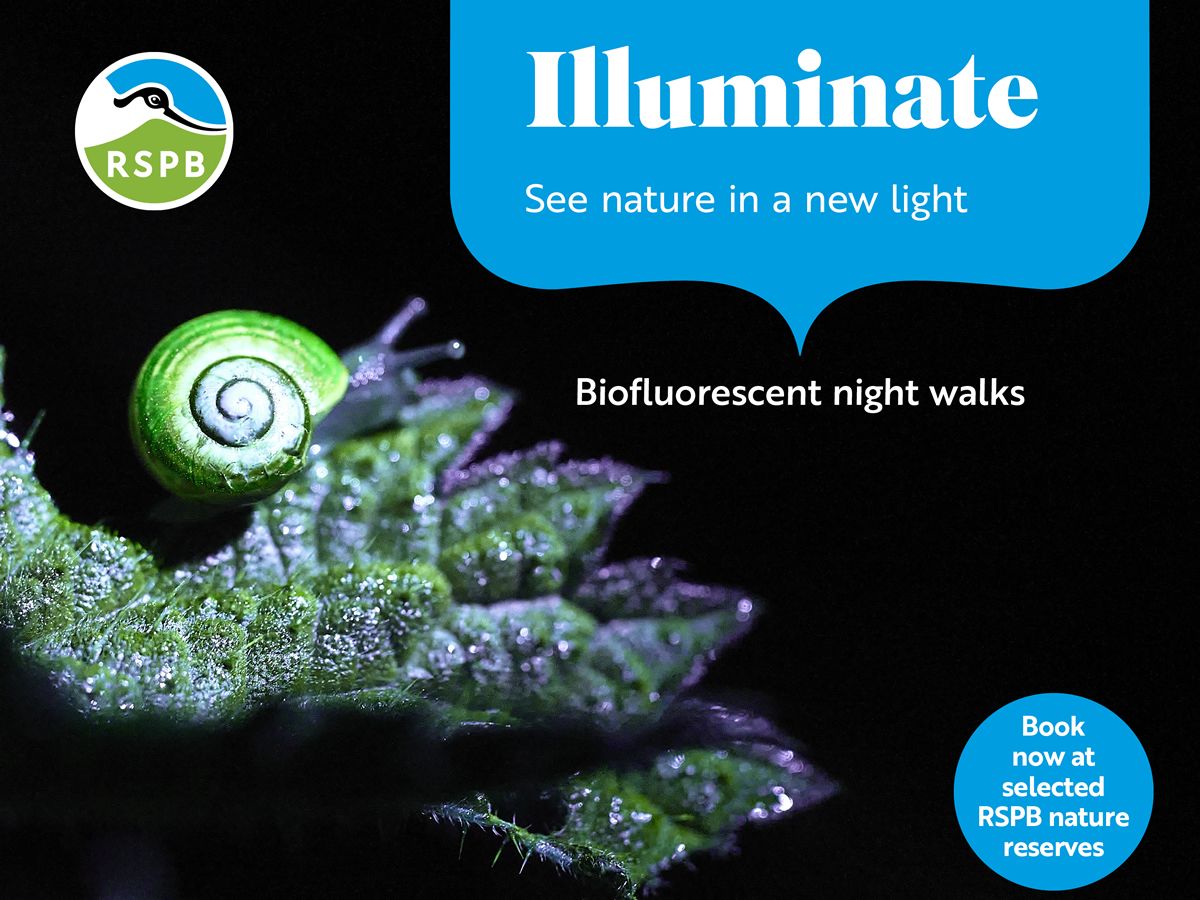 Illuminate: Biofluorescence In Nature