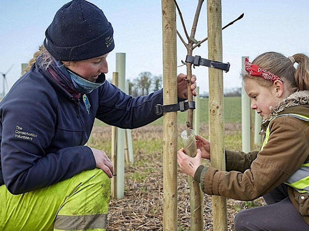 Tree and Wildflower Planting