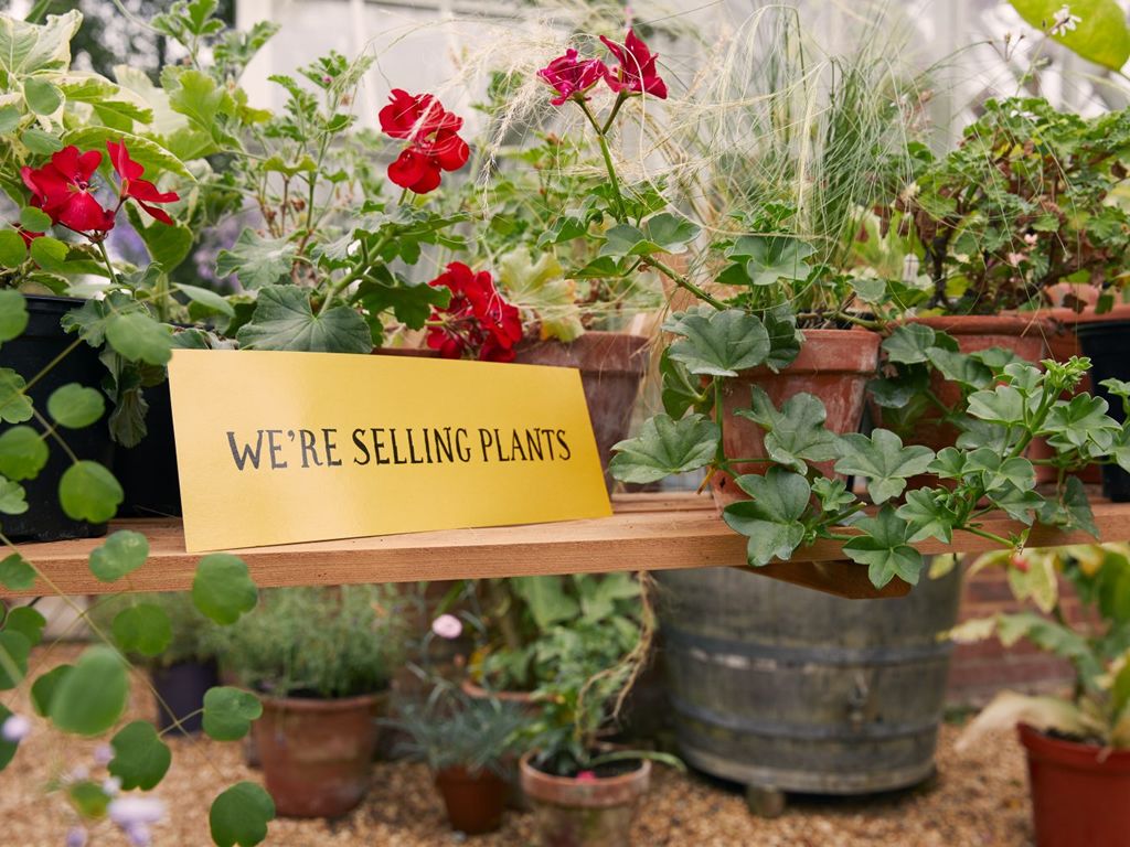 Paisley Florist Society Gardening Club Plant Sale at Paisley Salvation ...