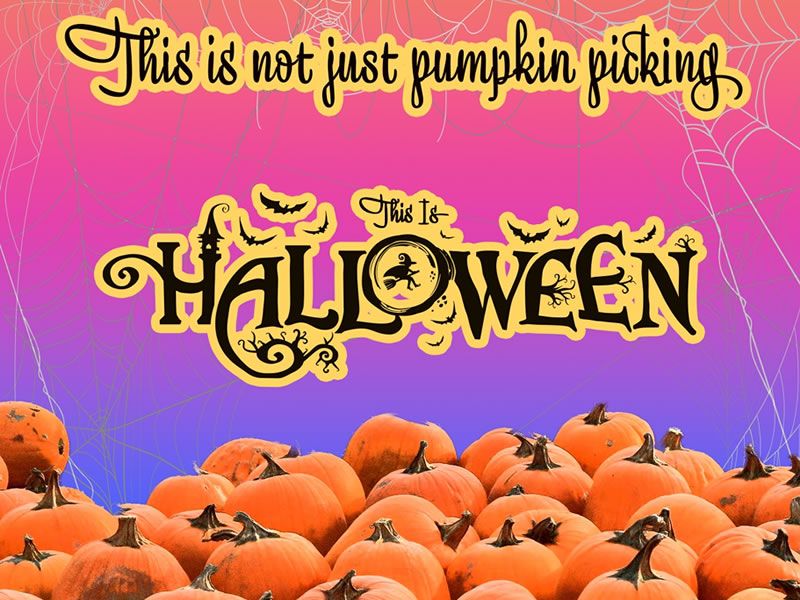 This is Halloween - Pumpkin Patch and More!