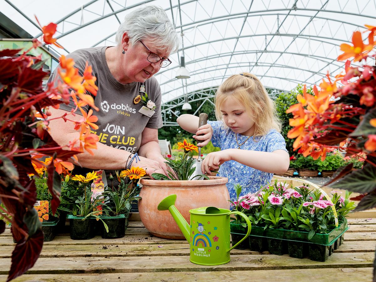 Free and great value half term activities at Dobbies