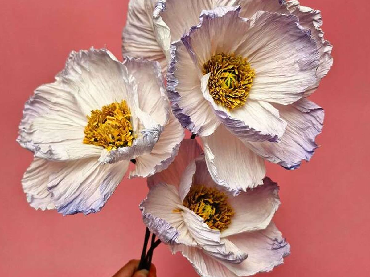 Paper Flower Making: Icelandic Poppies