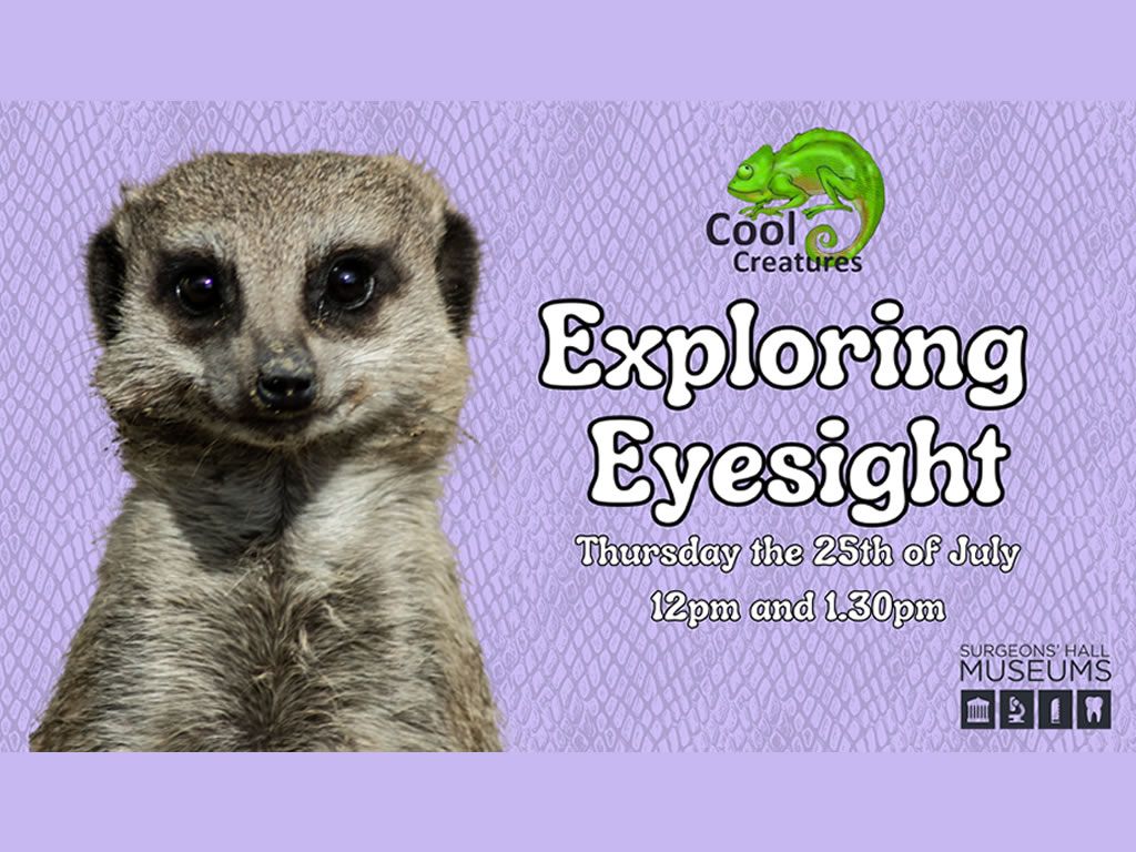 Cool Creatures: Exploring Eyesight