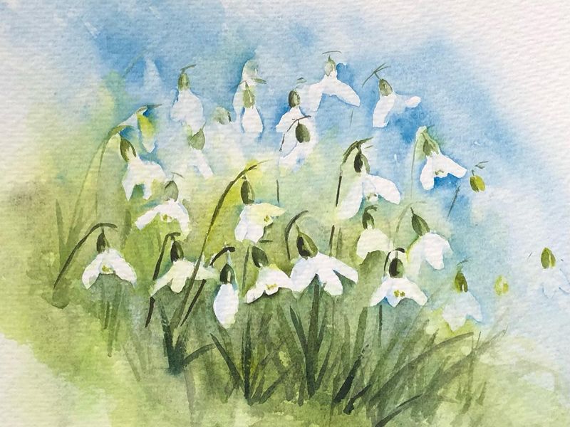 Spring into Watercolour - Introduction To Watercolour