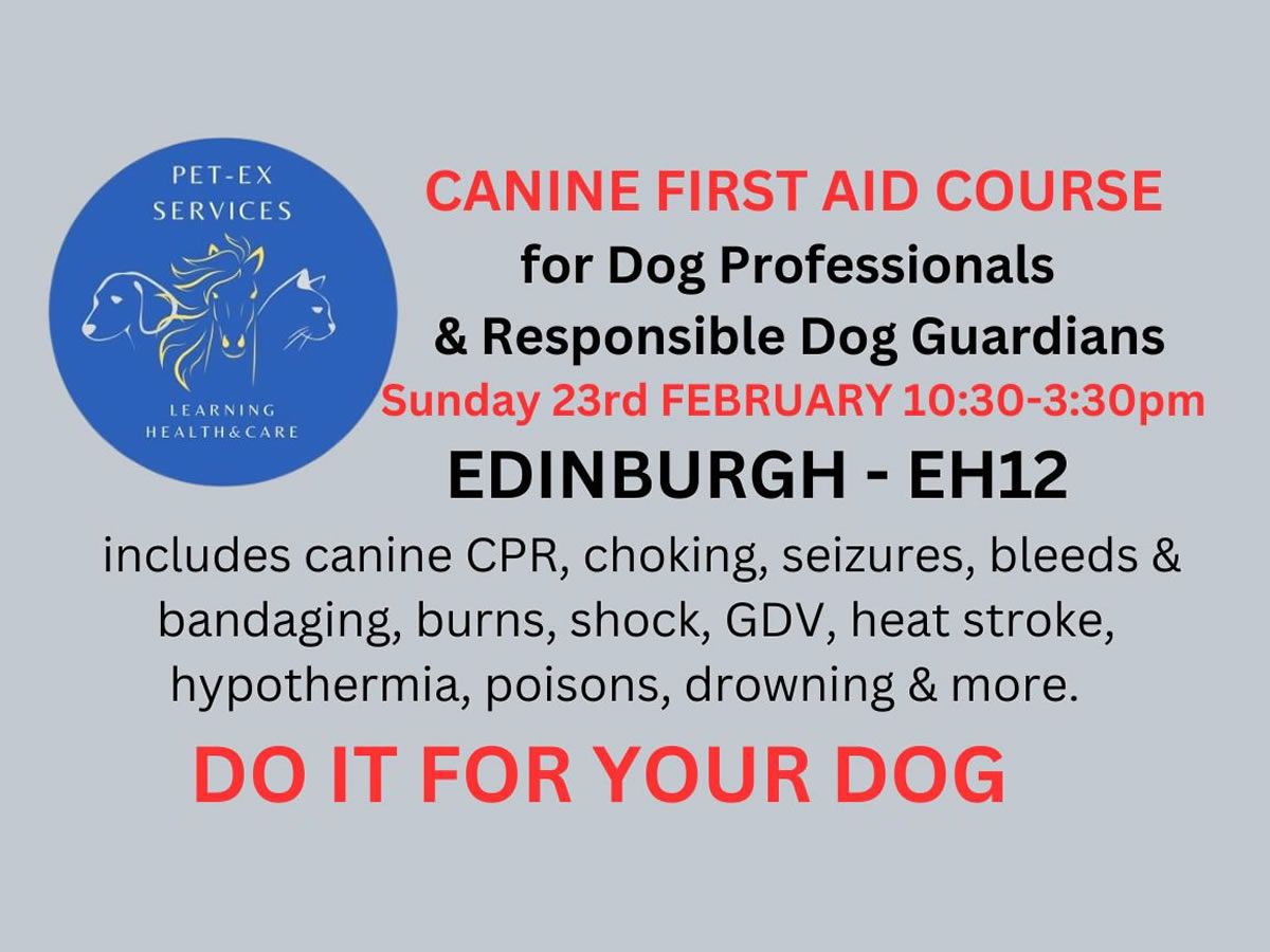 Edinburgh Canine First Aid Course