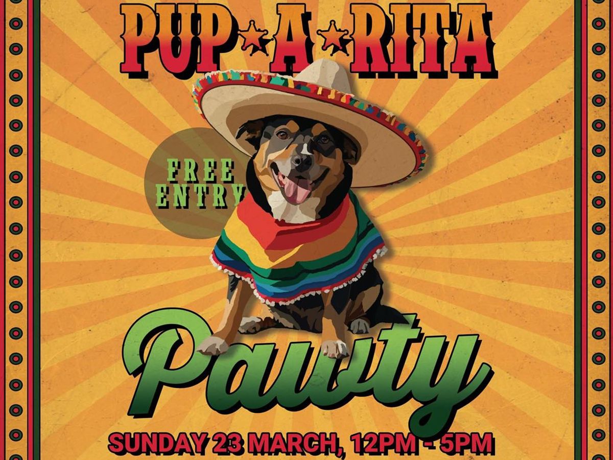 Pup-a-Rita Party