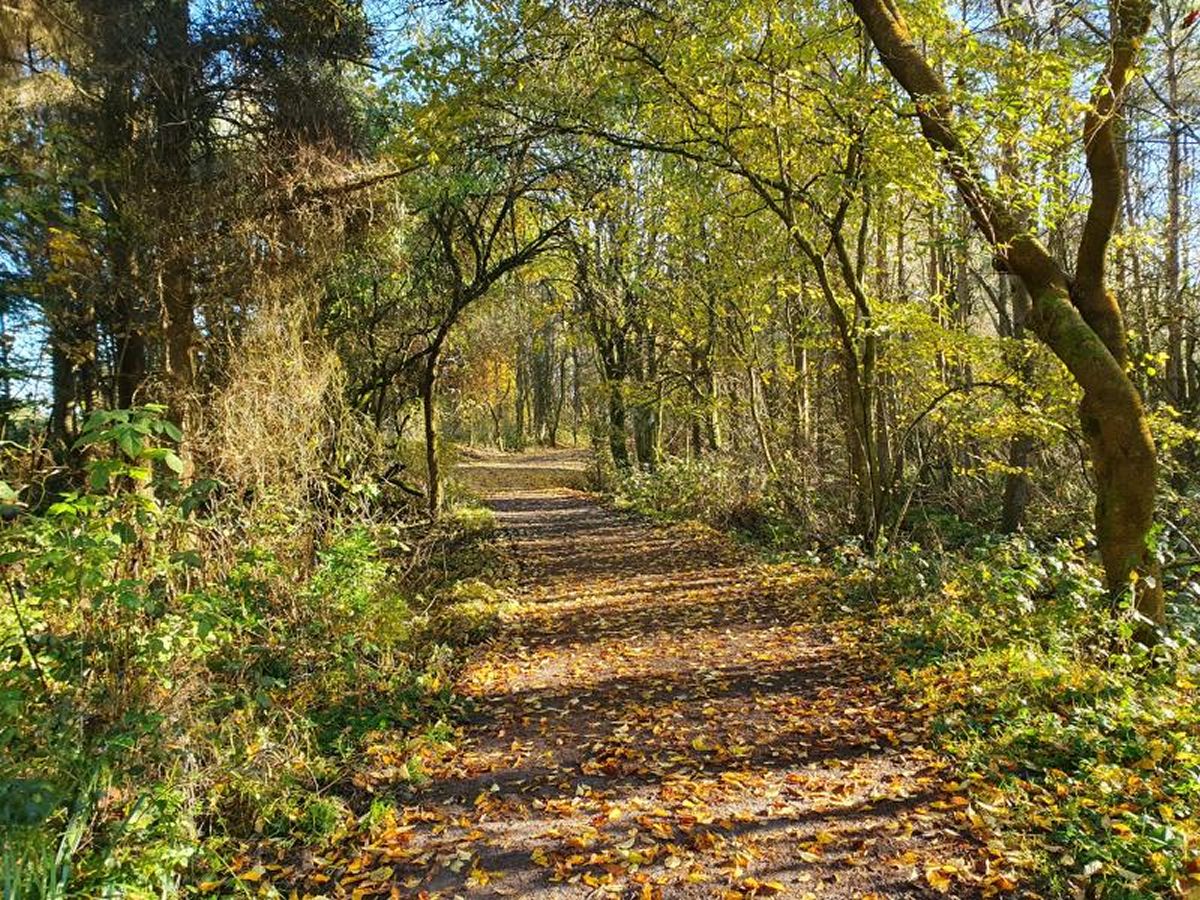 Palacerigg Country Park Archaeology Walks - POSTPONED