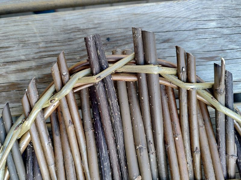 Adult Workshops: Willow Crafting