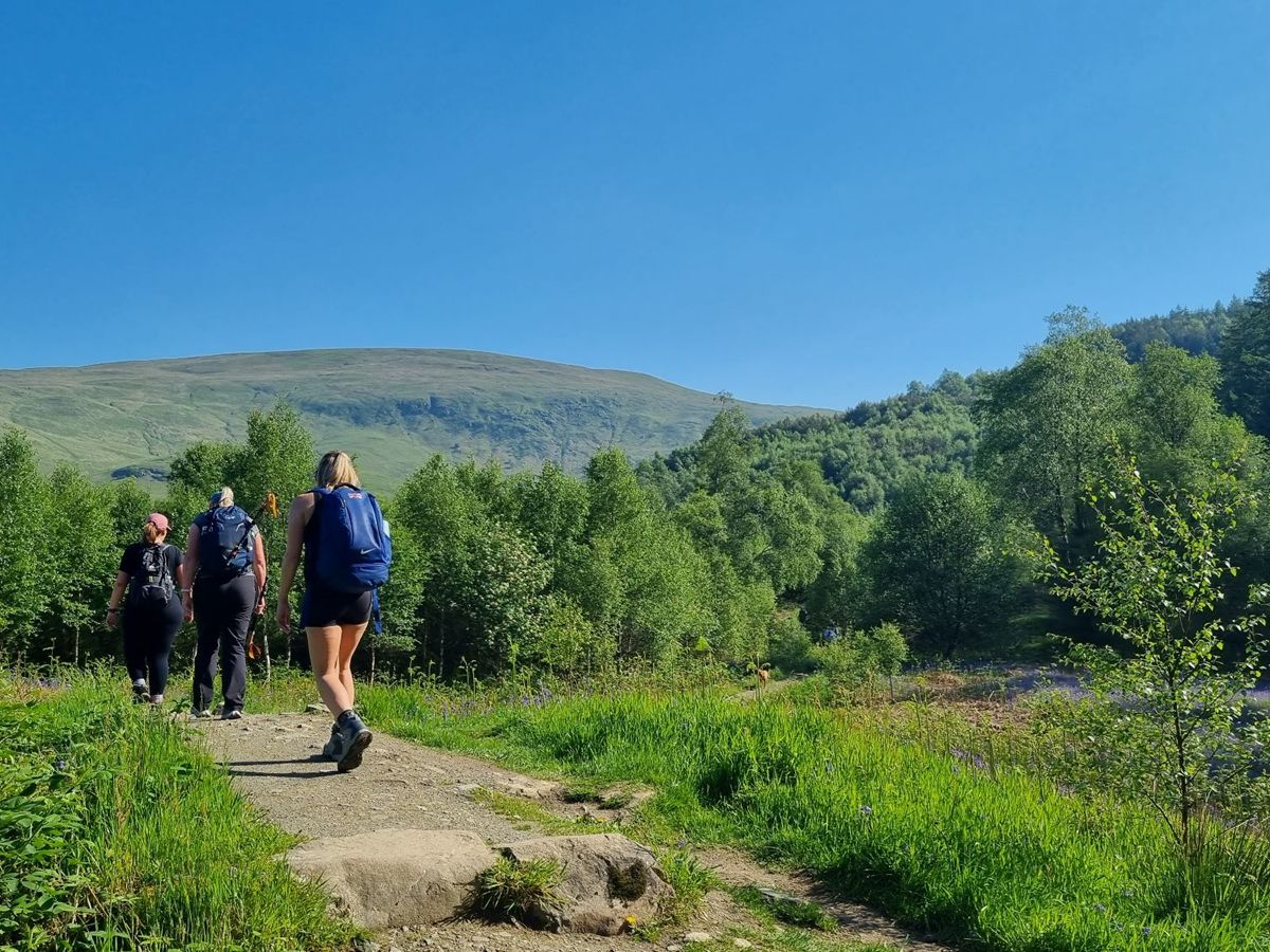 Guided ‘No Rush’ Hike: Ben Lomond