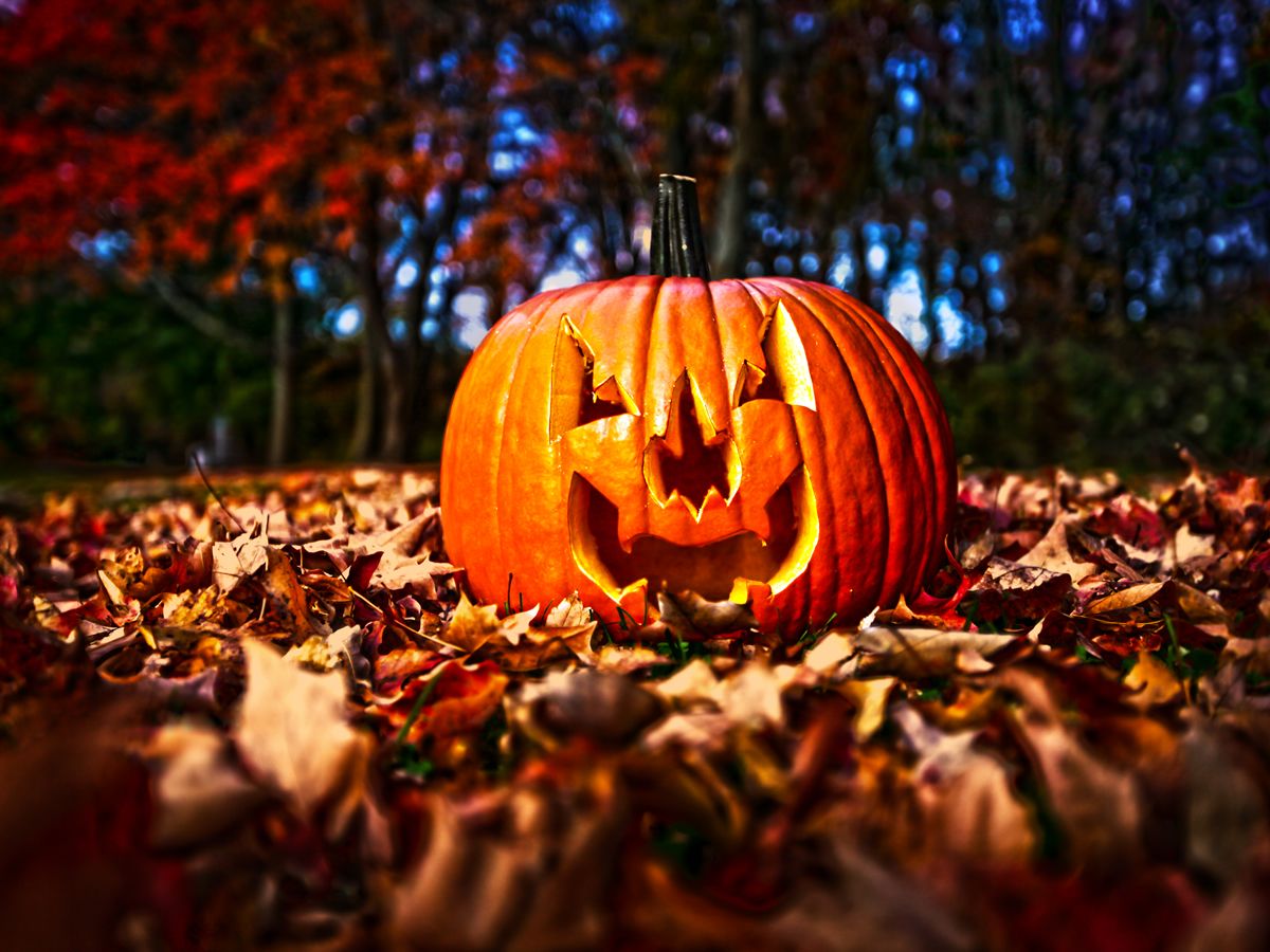 Castlemilk Park Pumpkin Festival