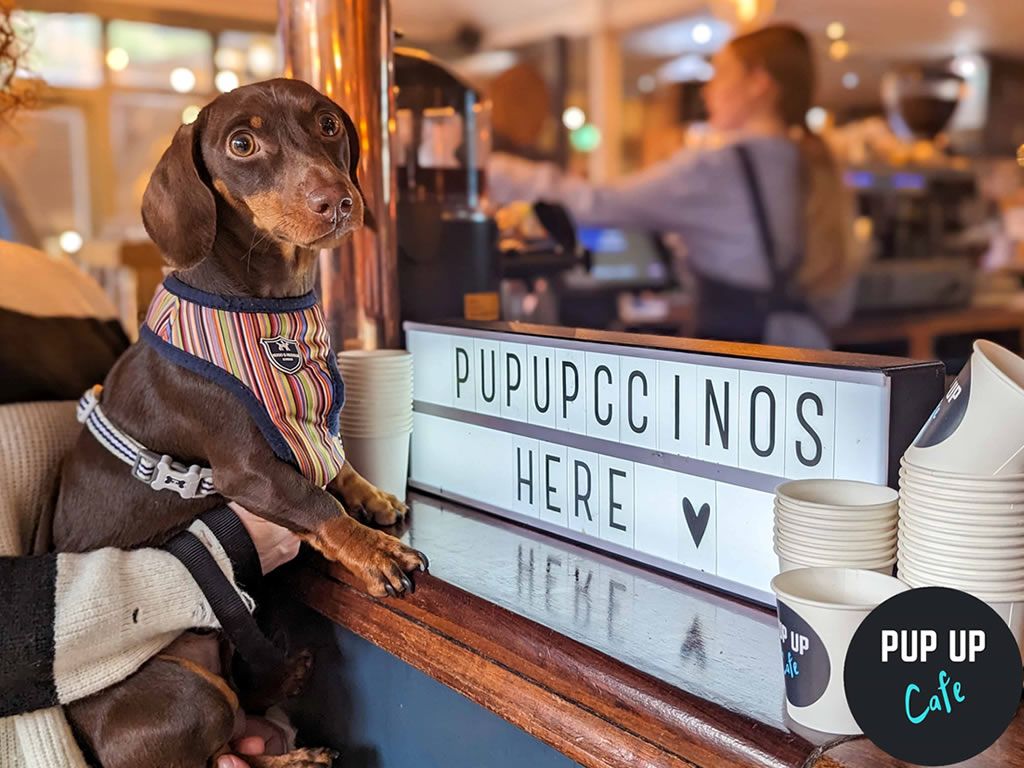 Pup Up Cafe: Edinburgh