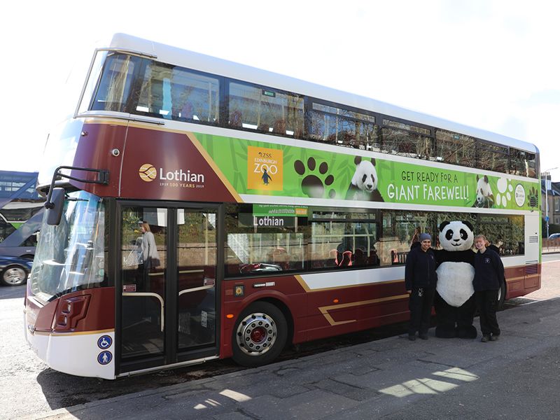 New panda bus hits the road as part of giant farewell plans at Edinburgh Zoo