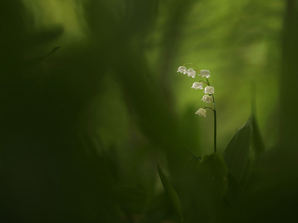 Scottish Nature Photography Awards 2023 Winners’ Exhibition