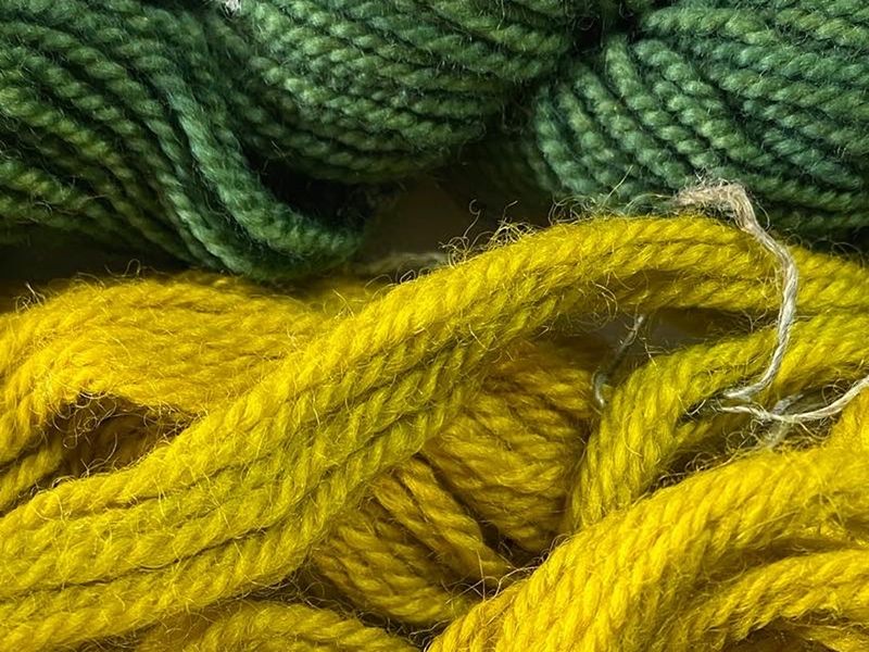 Adult Workshop: Natural Dyeing