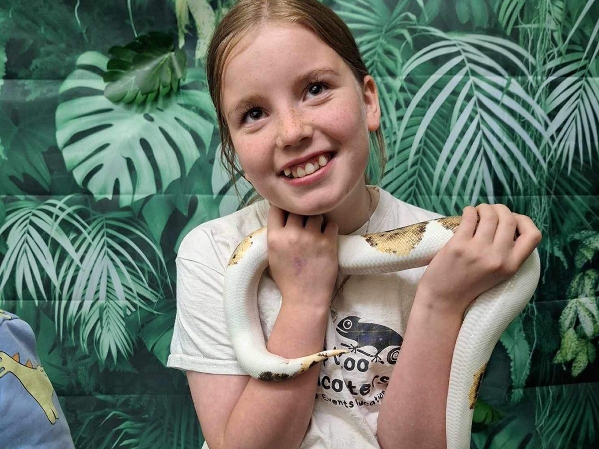 ReptiZoo Encounters Exotic Animal Experiences