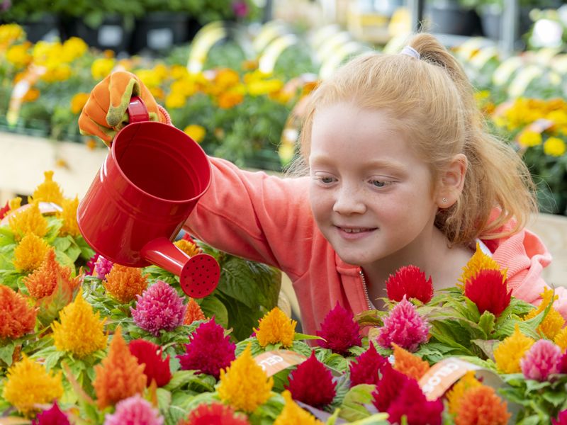 Dobbies announces Six aspiring young gardeners from across the UK as