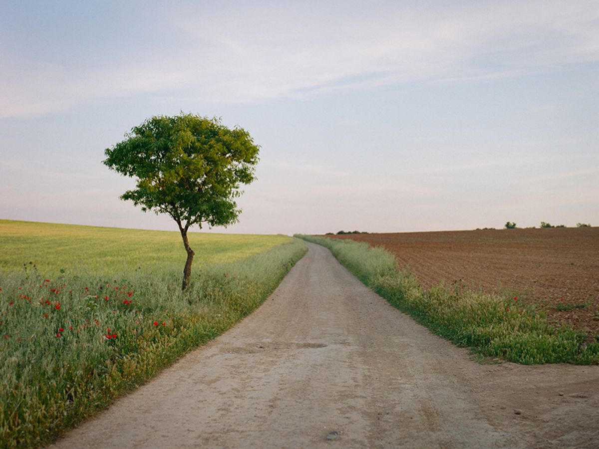 Landscape: International Photography Exhibition