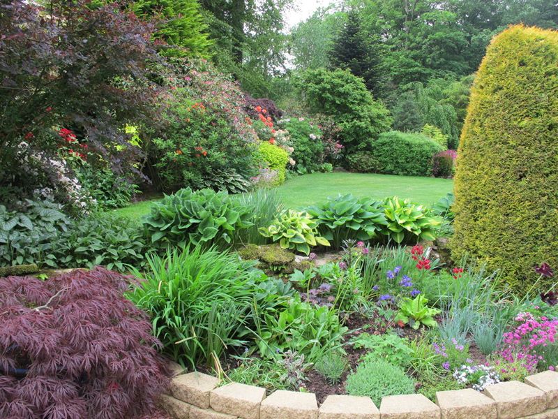 Scotland’s Gardens Scheme Open Garden: The Wildings