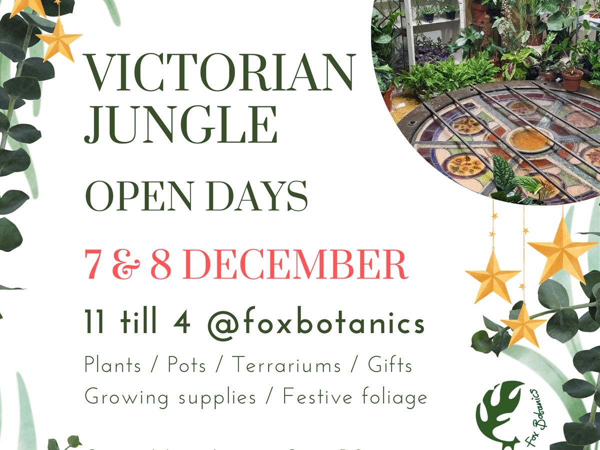 Christmas Open Days & Plant Sale at The Victorian Jungle