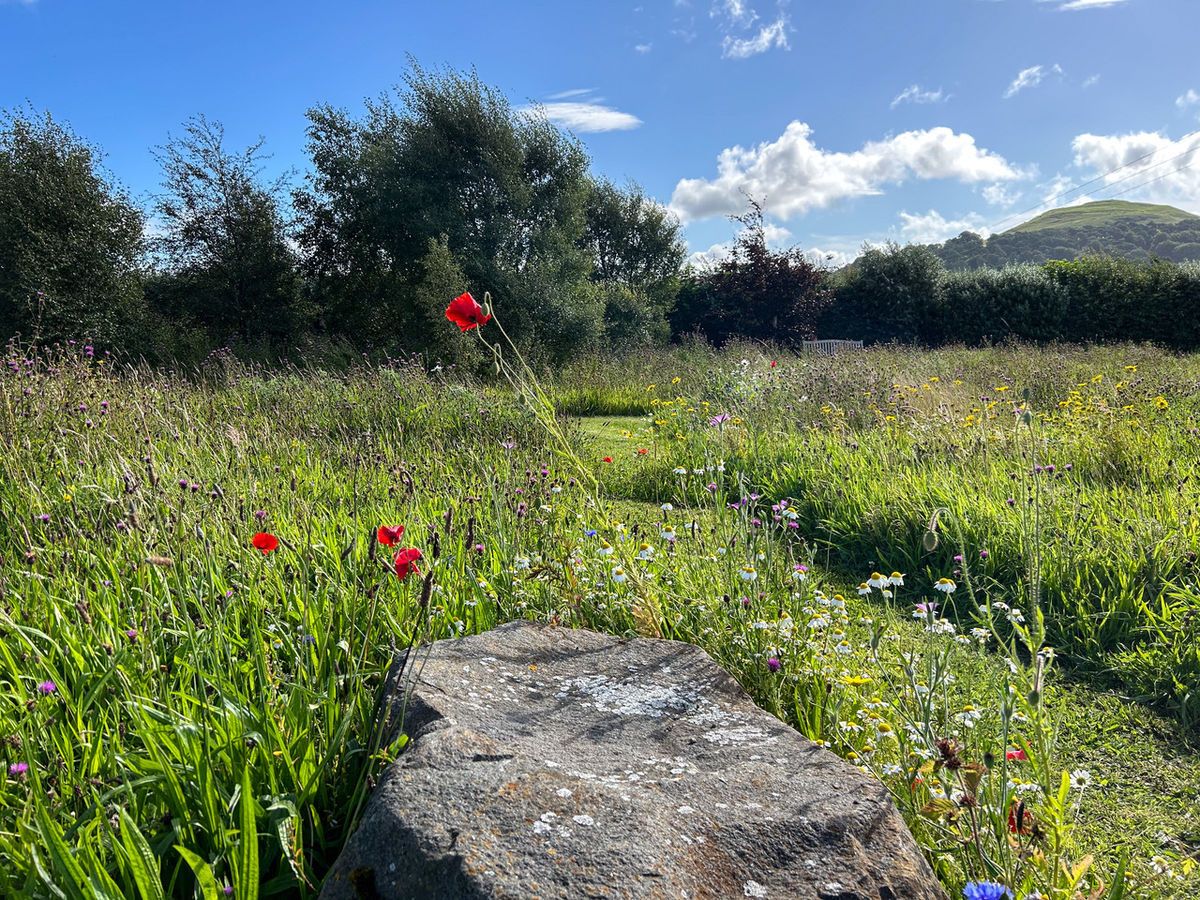 Scotland’s Gardens Scheme Open Garden: Hawk House Gardens