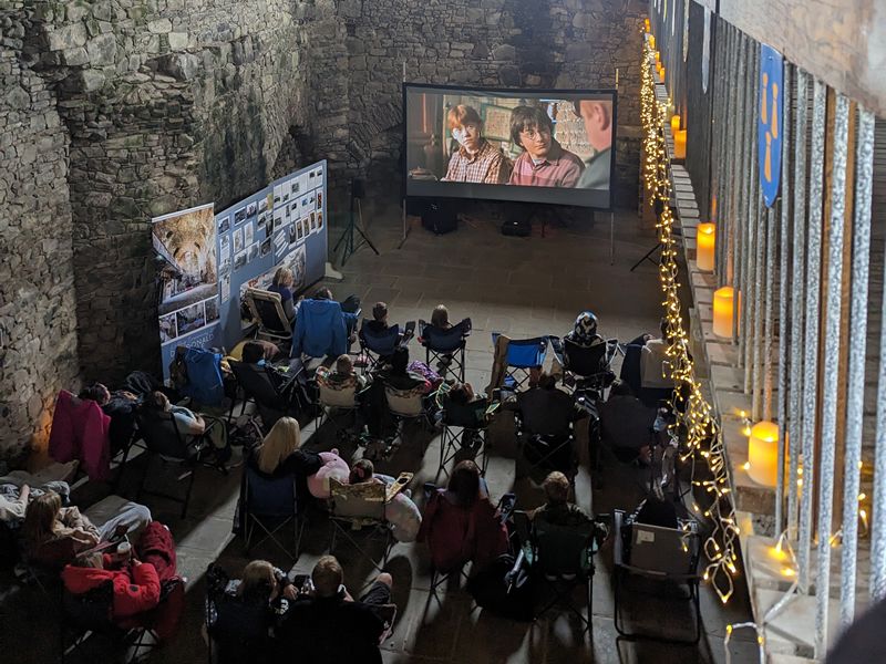 Movies at the Castle