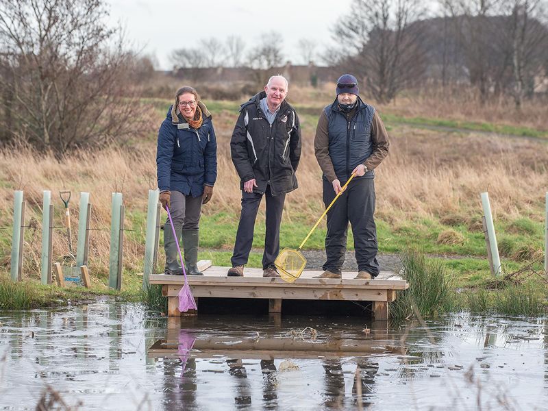 Green for go on ambitious tree planting programme in Stirling