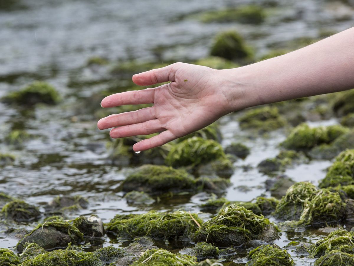 Bodies of Water