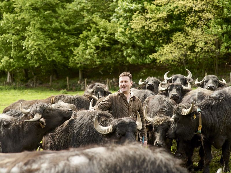 Aldi Scotland returns to The Royal Highland Show with more Scottish Suppliers than ever before