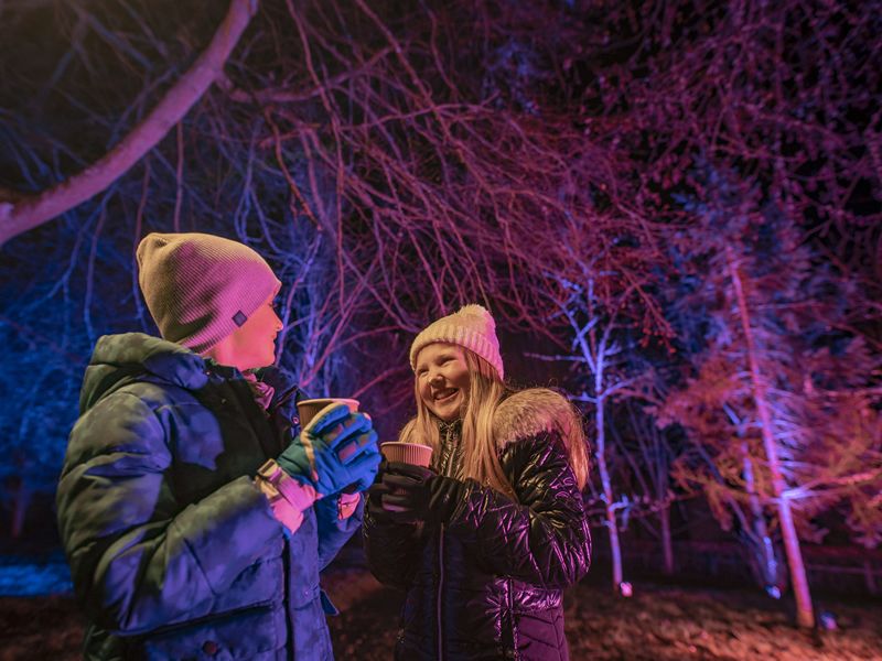 Introducing the Scottish Borders first Winter light trail, Monteviot Lights