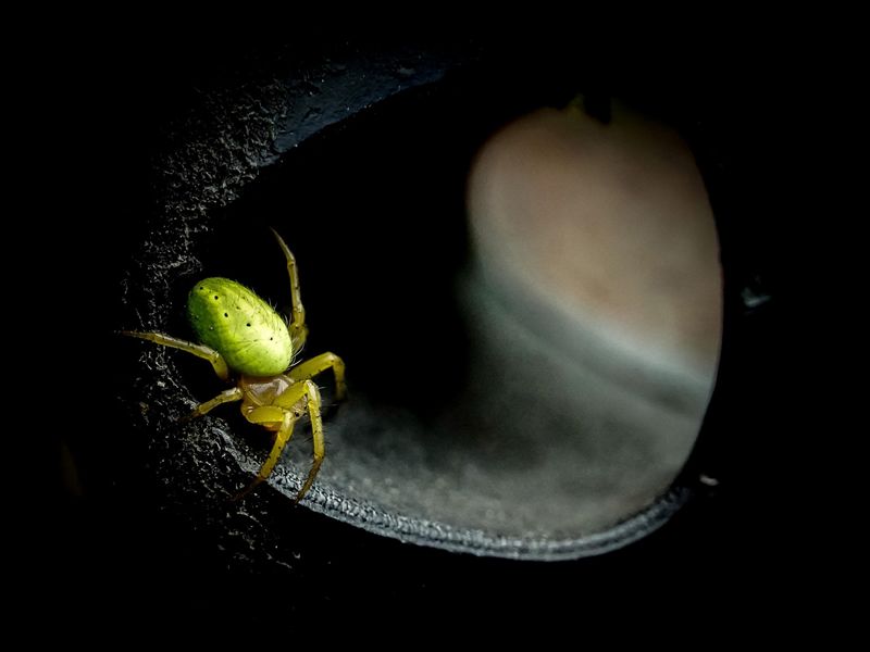 Scottish Nature Photography Awards 2022 Winners’ Exhibition