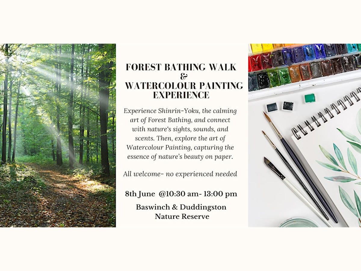 Summer Forest Bathing Walk & Watercolour Painting Experience