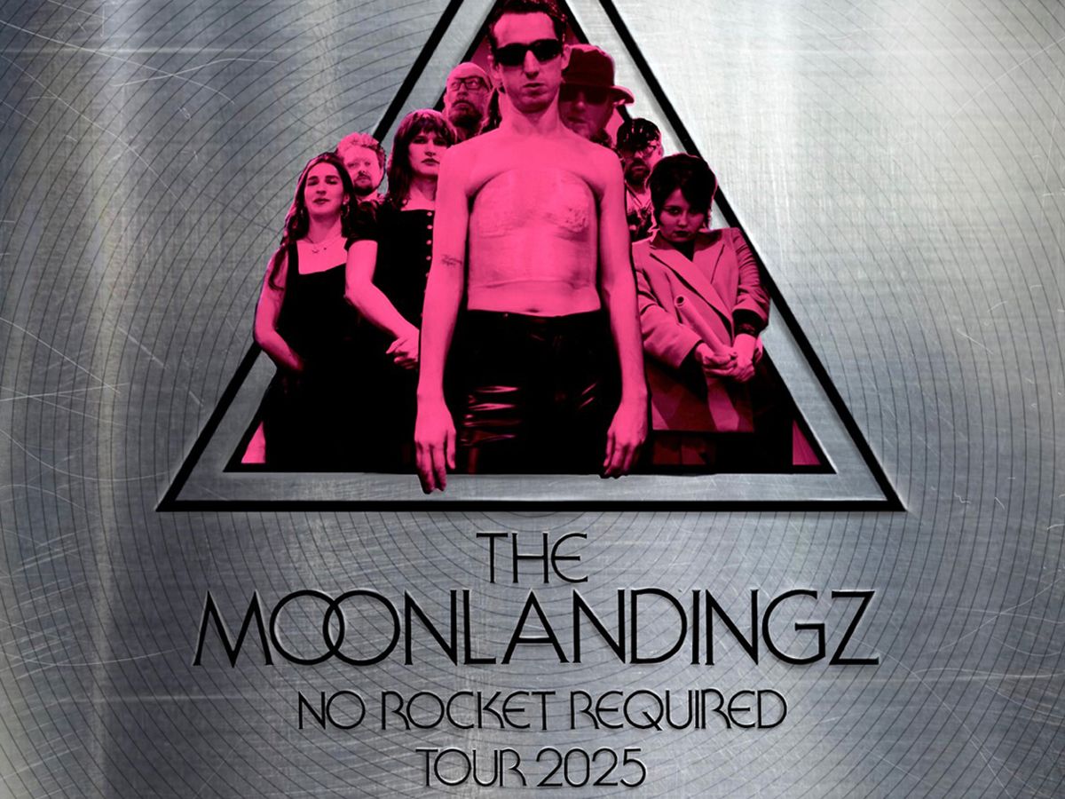 The Moonlandingz