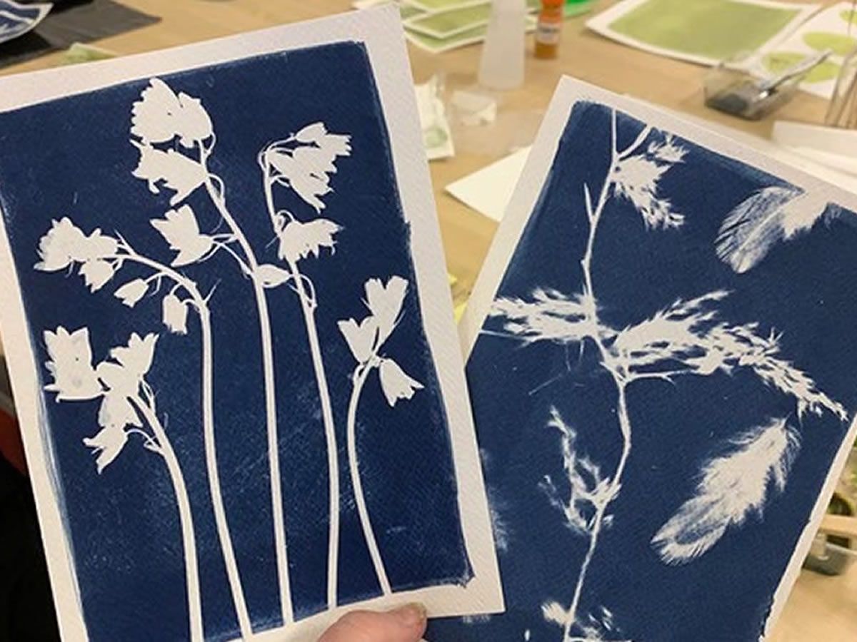 Cyanotype Day Course