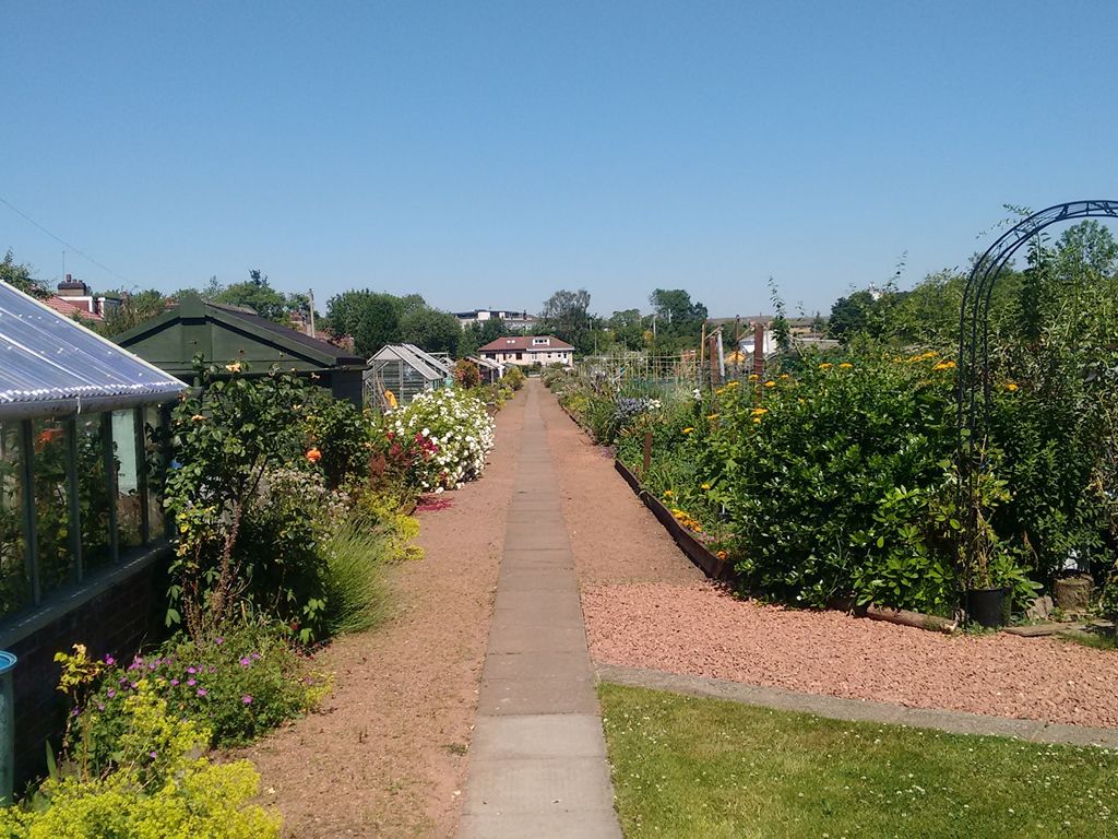 Berridale Allotments Annual Flower & Vegetable Show