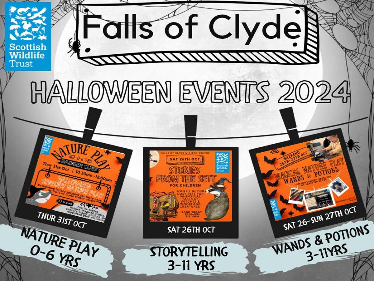 Halloween At Falls Of Clyde