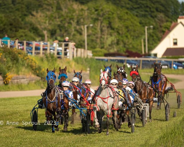 Haugh Field Harness Racing