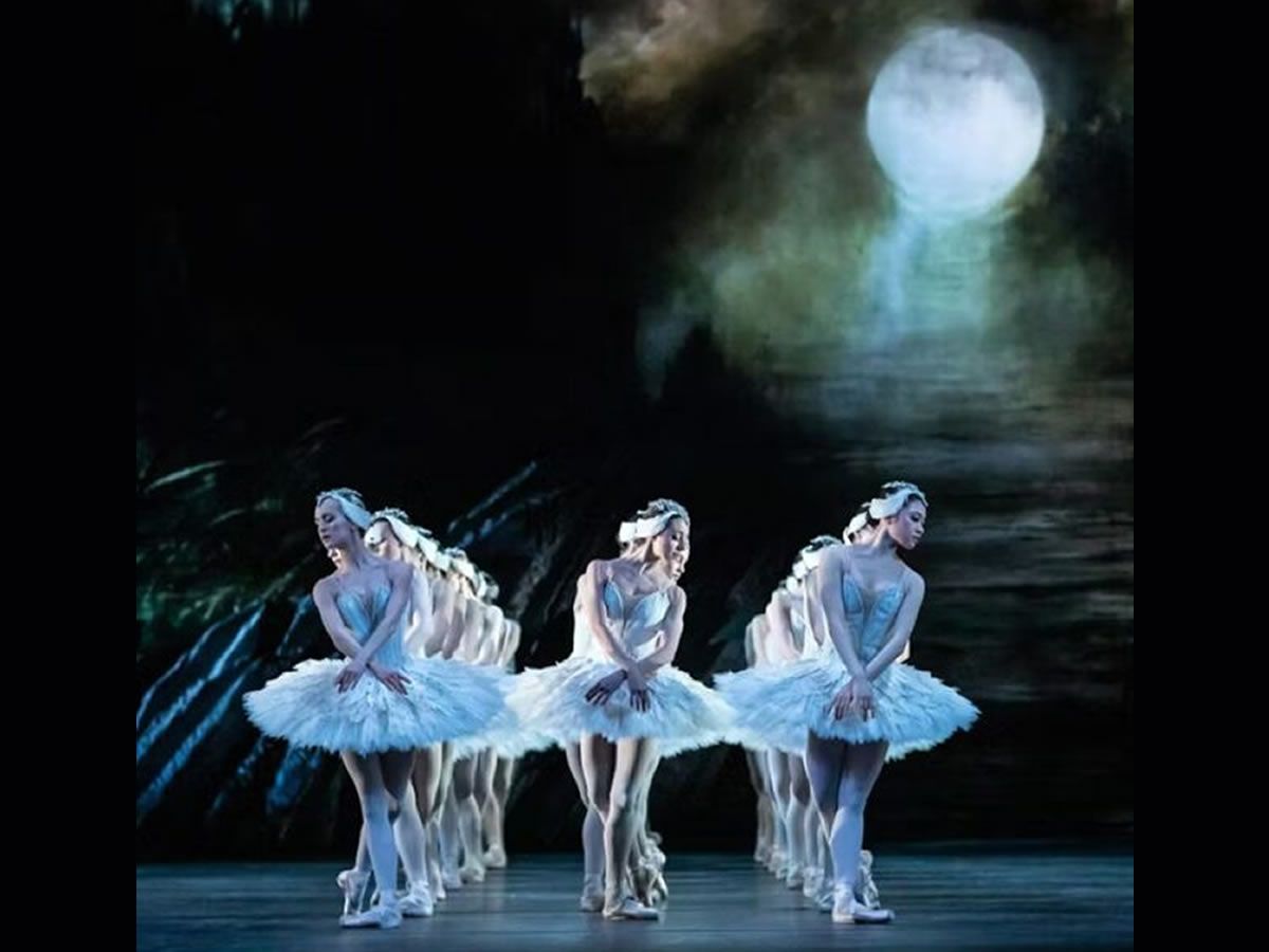 Swan Lake