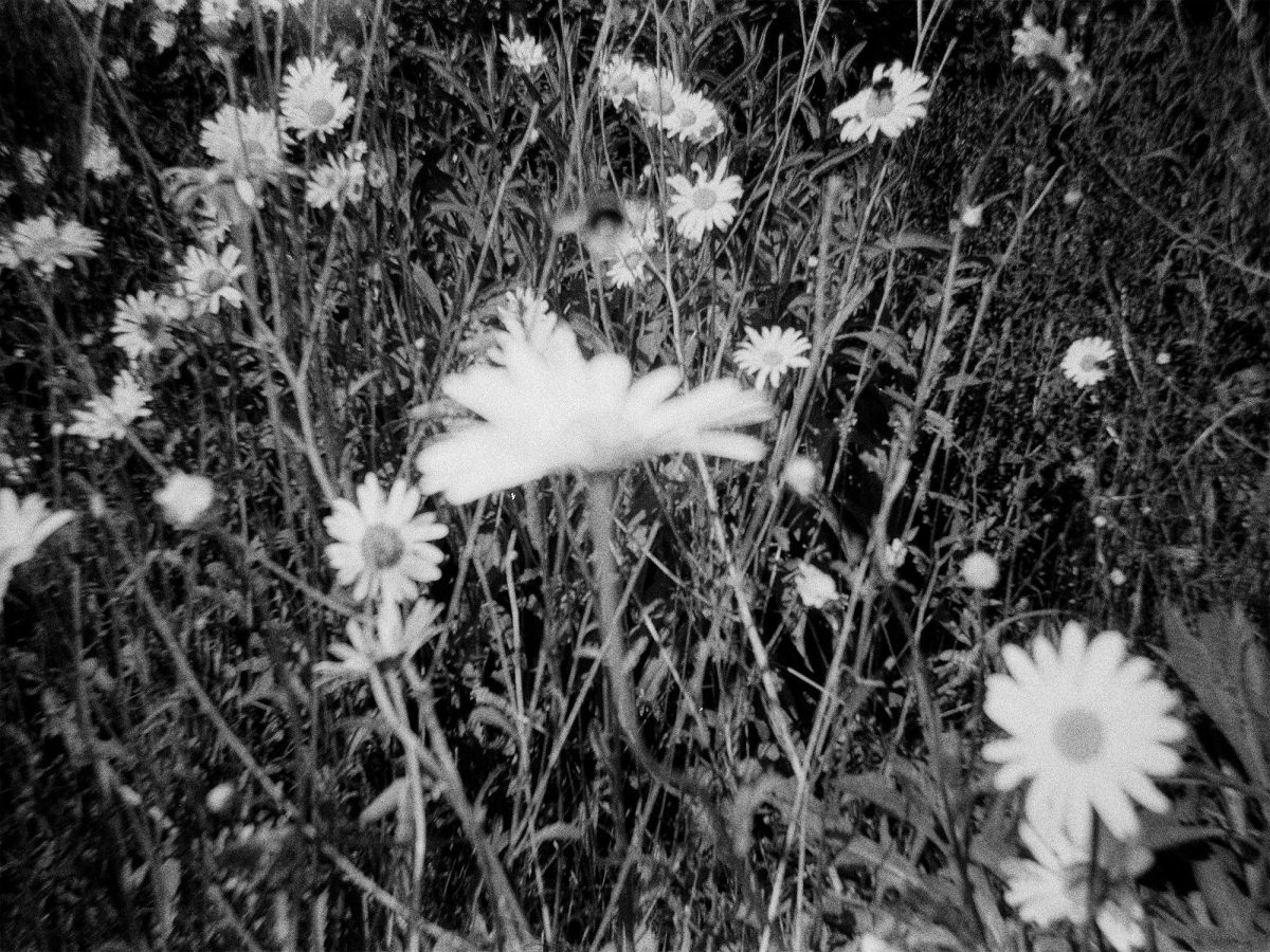 Reflections: A Photography Exhibition Celebrating Community, Memory, And the City of Glasgow