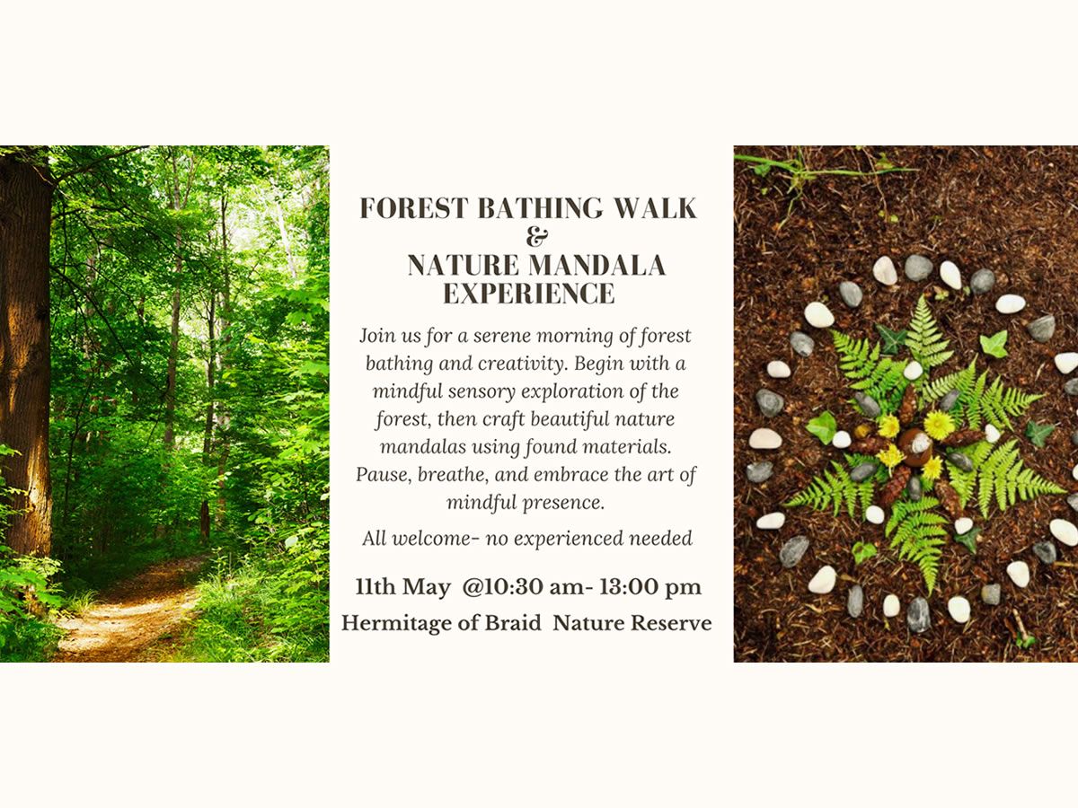 Forest Bathing Walk & Nature Mandala Experience