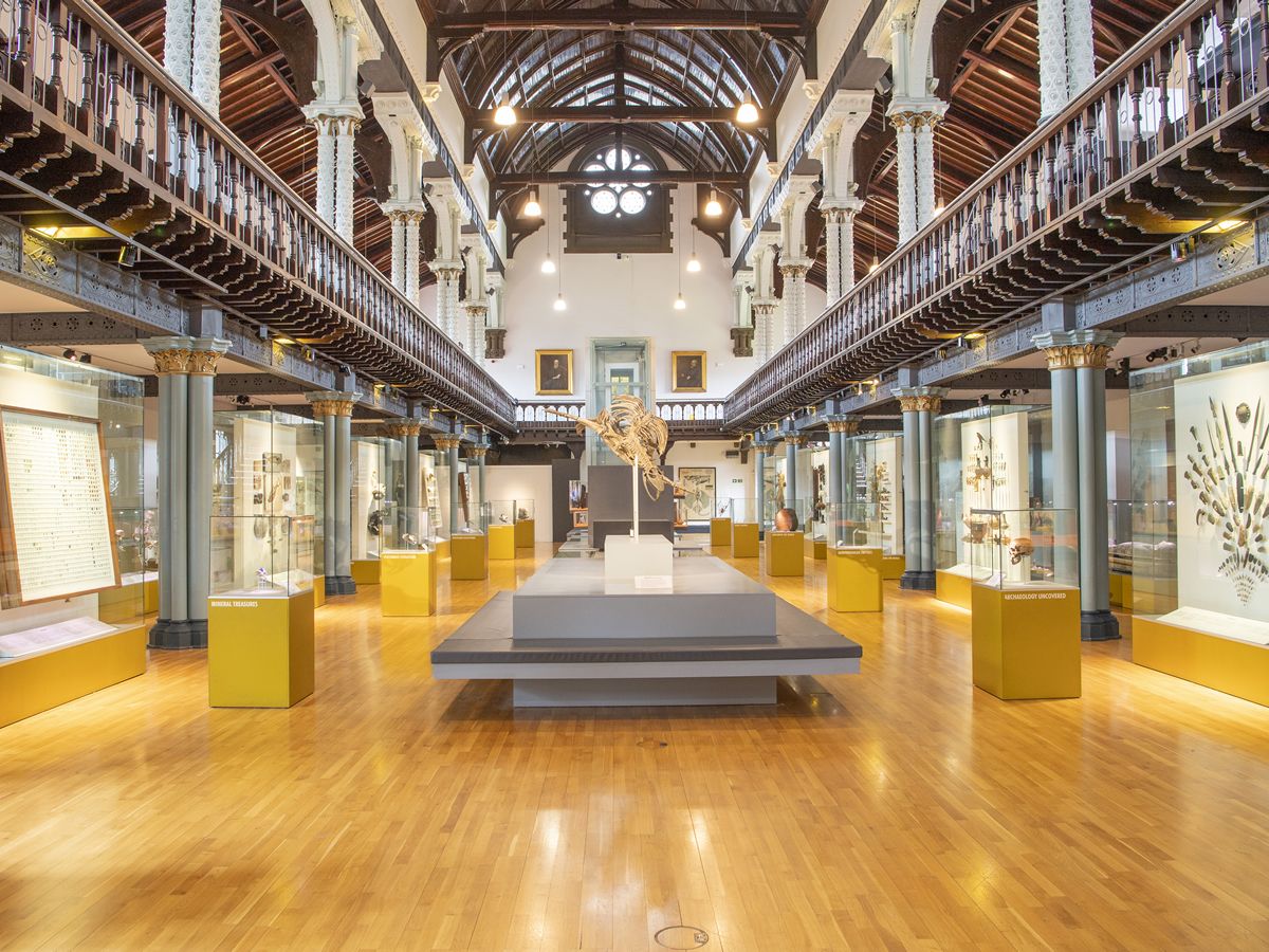 Hunterian Museum And Art Gallery