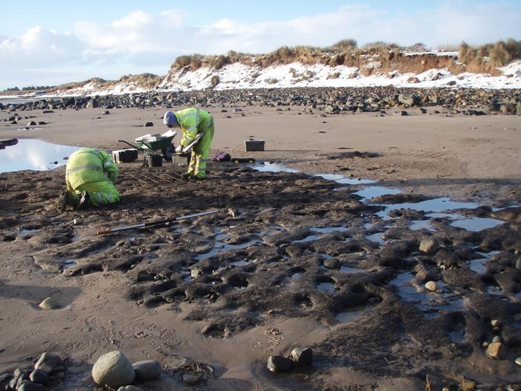 Mesolithic catastrophe: the impact of the Storegga Slide tsunami on the Mesolithic population of Britain