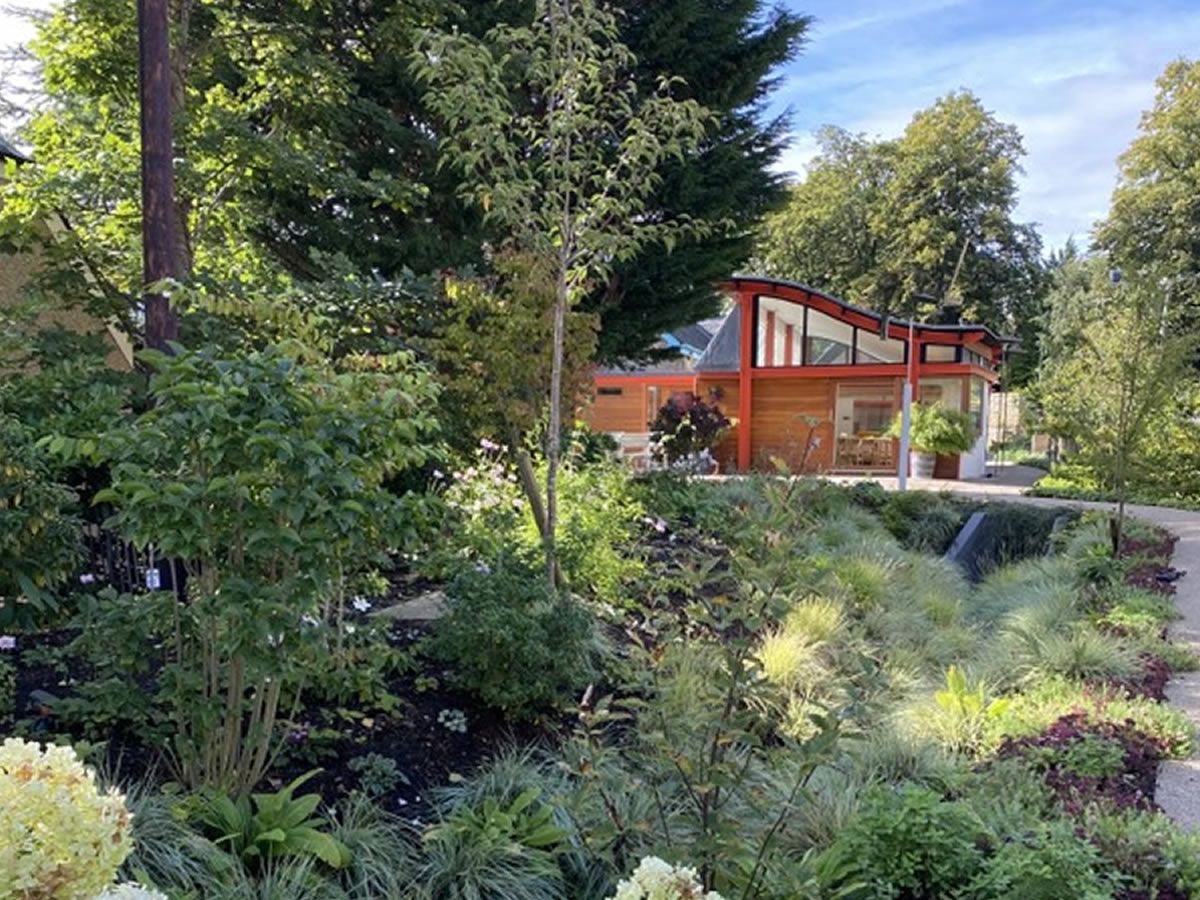 Scotland’s Gardens Scheme Open Garden: Maggie’s Edinburgh